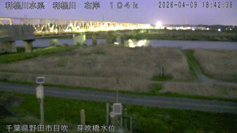 tonme2026040919_image