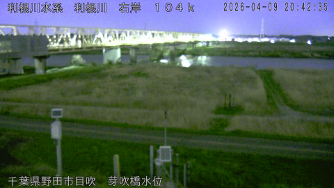 tonme2026040921_image