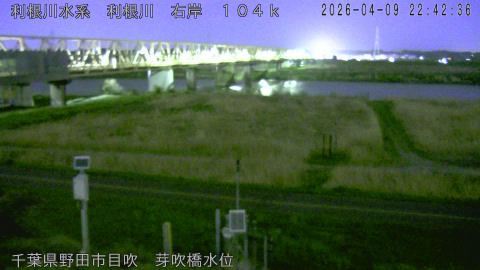 tonme2026040923_image