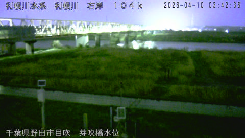 tonme2026041004_image