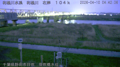 tonme2026041005_image