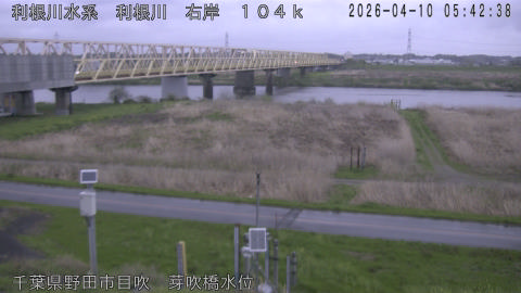 tonme2026041006_image