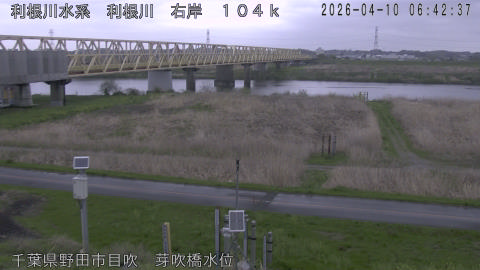 tonme2026041007_image