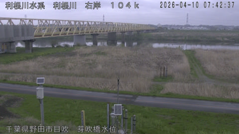 tonme2026041008_image