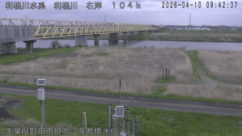 tonme2026041010_image