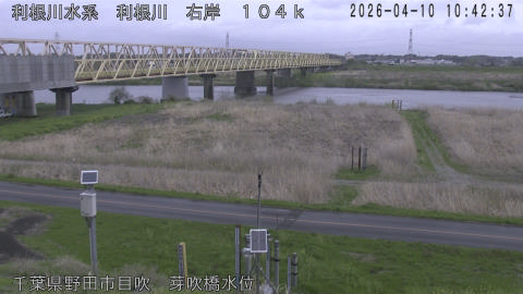 tonme2026041011_image