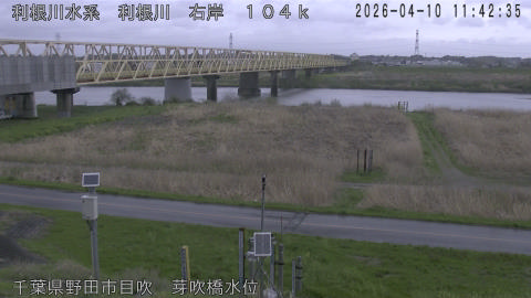 tonme2026041012_image