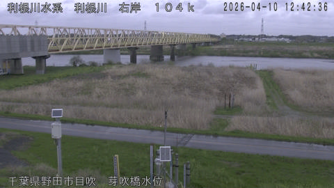 tonme2026041013_image