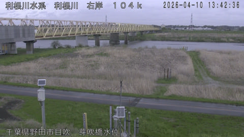 tonme2026041014_image