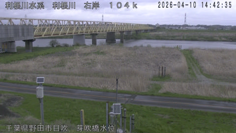 tonme2026041015_image