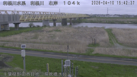 tonme2026041016_image