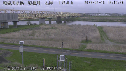 tonme2026041017_image