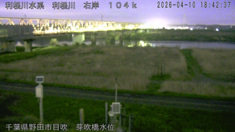 tonme2026041019_image