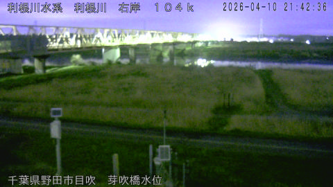 tonme2026041022_image