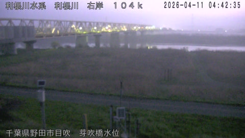 tonme2026041105_image