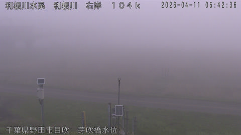 tonme2026041106_image