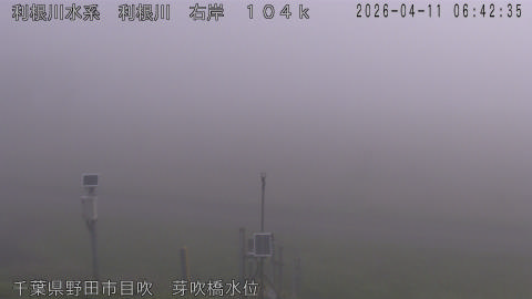 tonme2026041107_image