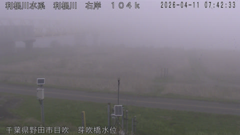 tonme2026041108_image