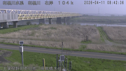 tonme2026041109_image