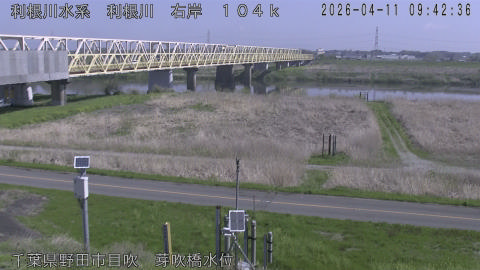 tonme2026041110_image