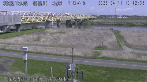 tonme2026041111_image