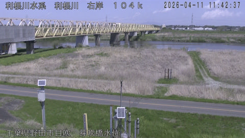 tonme2026041112_image