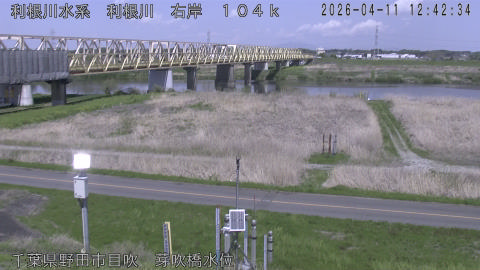 tonme2026041113_image