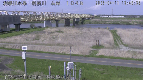 tonme2026041114_image