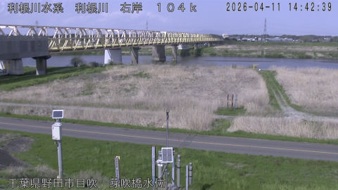 tonme2026041115_image