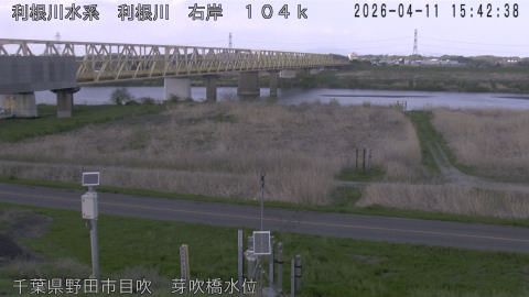 tonme2026041116_image