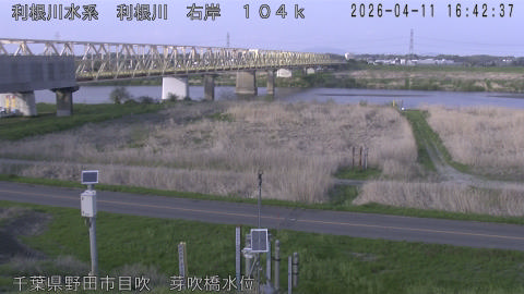 tonme2026041117_image