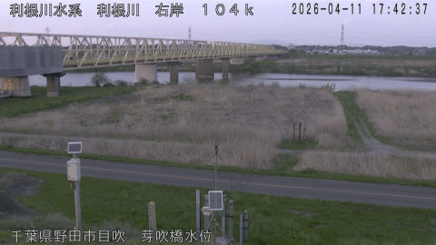 tonme2026041118_image