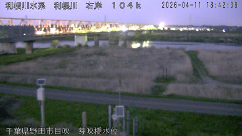 tonme2026041119_image