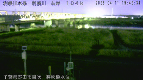 tonme2026041120_image