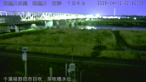 tonme2026041203_image