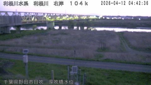 tonme2026041205_image