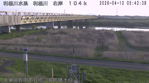 tonme2026041206_image