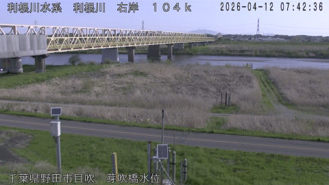 tonme2026041208_image