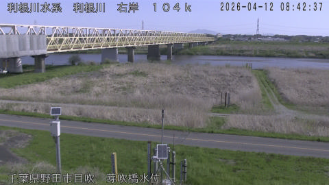 tonme2026041209_image