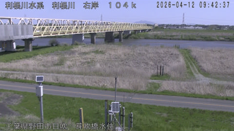 tonme2026041210_image