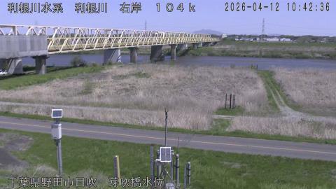 tonme2026041211_image