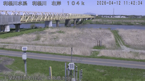 tonme2026041212_image