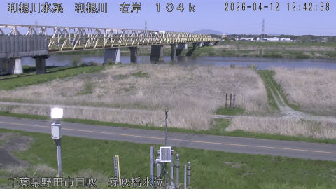 tonme2026041213_image