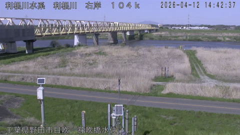 tonme2026041215_image