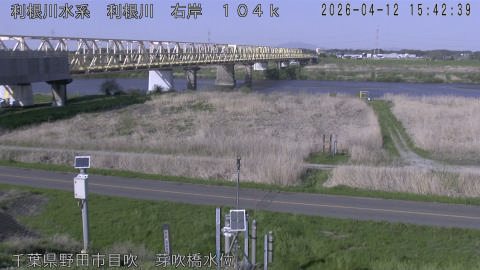 tonme2026041216_image