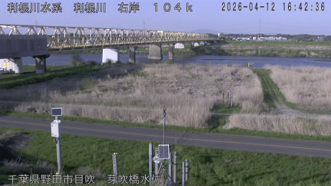 tonme2026041217_image