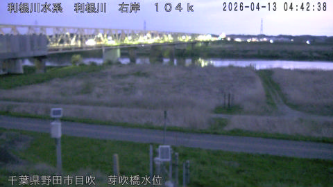 tonme2026041305_image