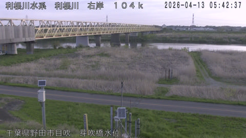 tonme2026041306_image