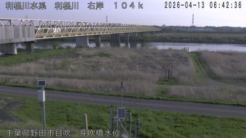 tonme2026041307_image