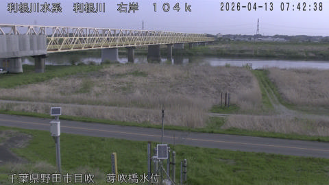 tonme2026041308_image